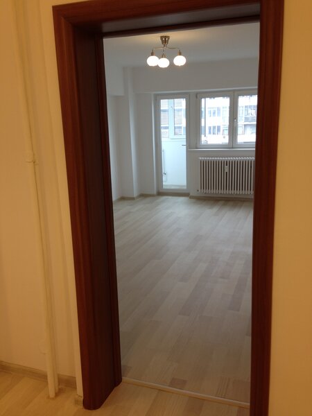 Stefan cel Mare/ Romstal/ Lizeanu/ Viitorului